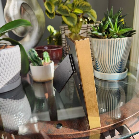 Mounted Real Butterfly Papilio gigon Indonesian Swallowtail Specimen Taxidermy - Picture 5 of 7